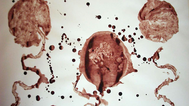 Illustration for article titled 'Birth Art': The Most Horrifying Trend Ever